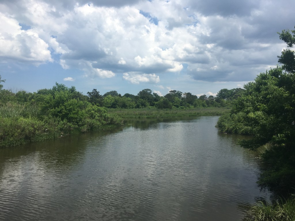 09883E1A-80DC-4958-A5C5-053C3610FA0C